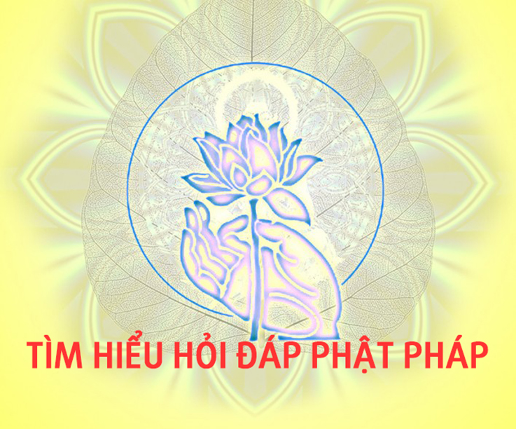 100-cau-hoi-phat-phap-tim hieu hoi dap phat phap _thich phuoc thai.jpg